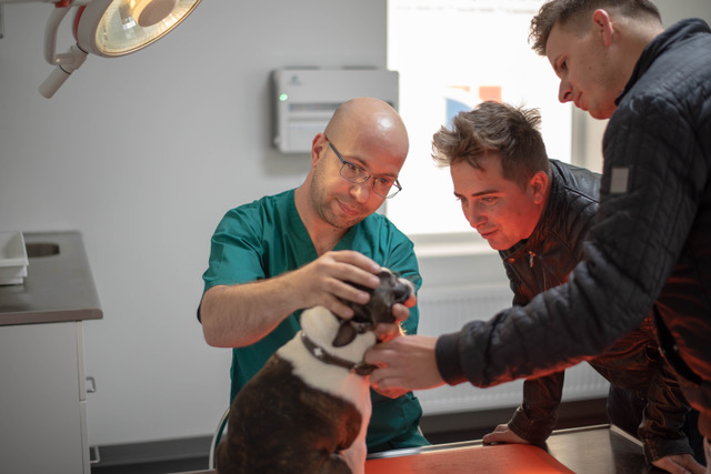 Români de succes în Danemarca: interviu cu medicul Petru Gogu-fondatorul clinicii veterinare Struers Dyrlæger ApS